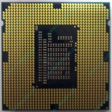 Процессор Intel Celeron G1620 (2x2.7GHz /L3 2048kb) SR10L s.1155 (Новомосковск)