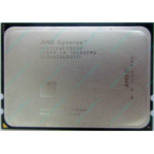 AMD Opteron 6128 OS6128WKT8EGO (Новомосковск)