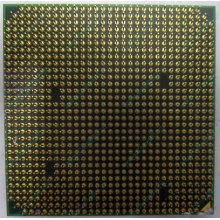 Процессор AMD Athlon 64300+ (1.8GHz) ADA3000IAA4CN s.AM2 (Новомосковск)