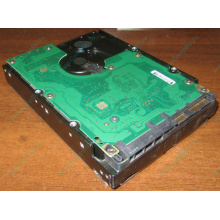 Жесткий диск 300Gb 15k Dell 9CH066-050 6G SAS (Seagate Cheetach ST3300656SS 15K.6) - Новомосковск